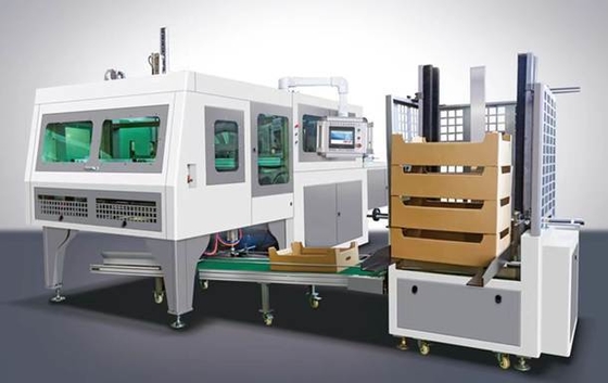 Auto Fruit Tray Folder Machine